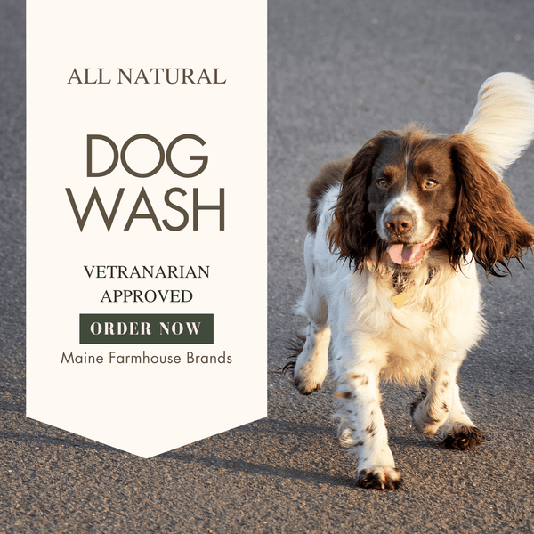 Spot "The Lighthouse Dog" All Natural Dog Wash | Unscented | Sensitive Skin