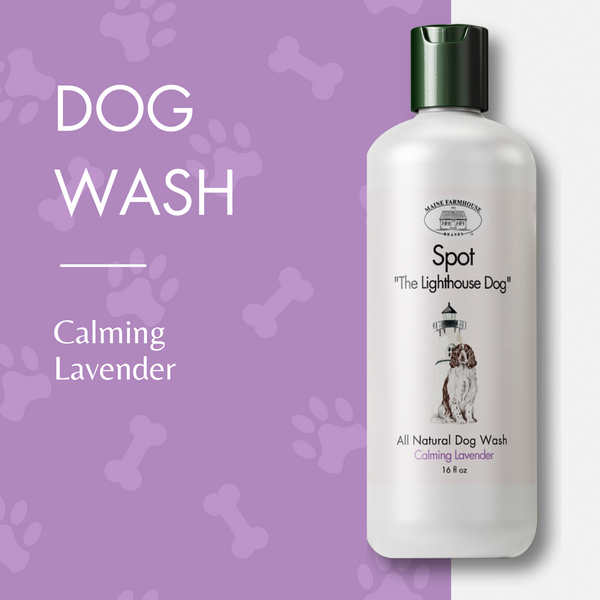 Spot "The Lighthouse Dog" All Natural Dog Wash | Lavender | Calming